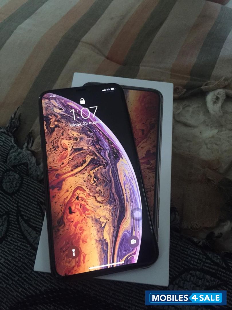 Gold Apple  Xs max