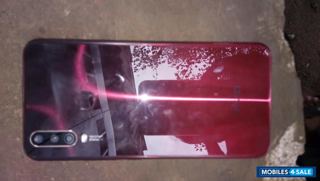 Red Vivo  Y15