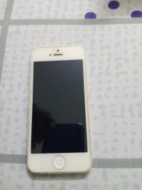 Apple Iphone 5S