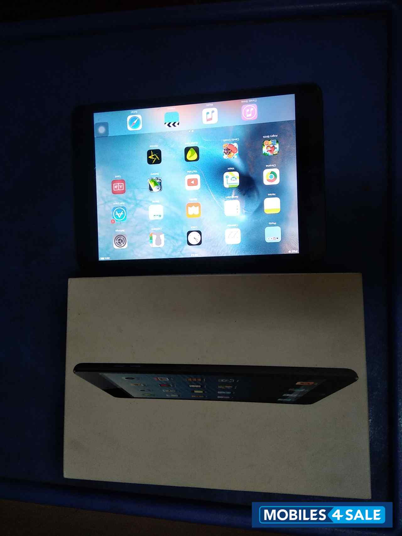 Apple  Ipad mini