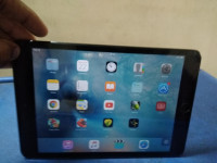Apple  Ipad mini