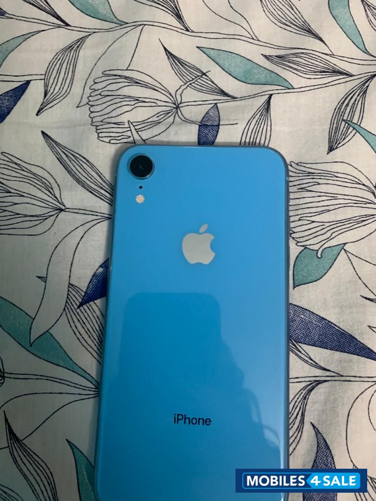 Blue Apple  XR