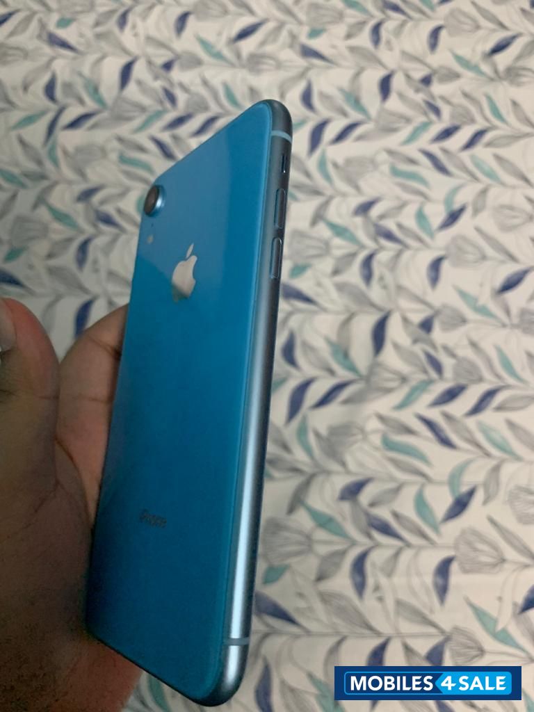 Blue Apple  XR