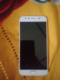 Vivo  vivo v5 plus