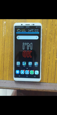 Golden Vivo V-series V7