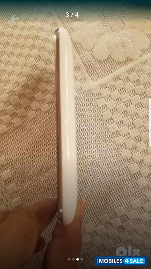 White Apple  A7 1303