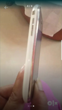 White Apple  A7 1303