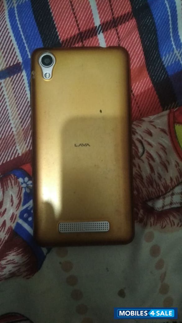 Gold Lava  Z50