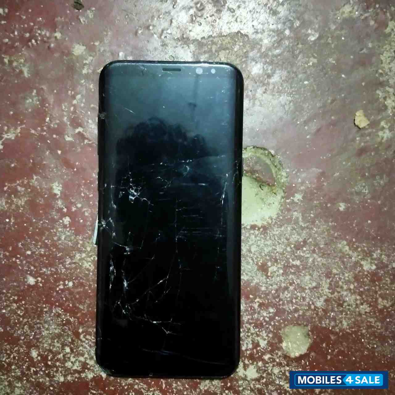 Samsung  Samsung galaxy s8