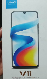 Black Vivo V-series V11