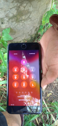 Apple  I phone 7 plus