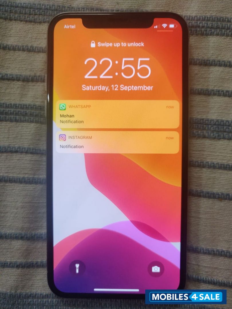 Silver Apple  iPhone x