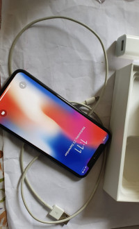 Grey, Black Apple  Iphone x