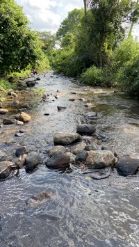 Apple  Iphone11 4GB/128