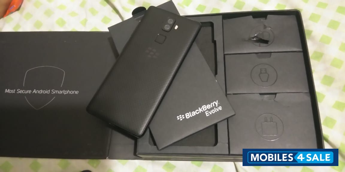 BlackBerry Evolve100-1