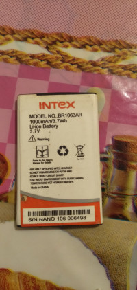 Intex Leo