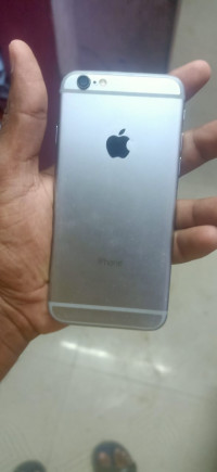 Silver Apple  6