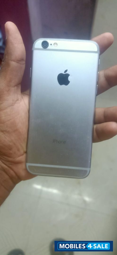 Silver Apple  6