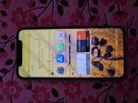 White Apple  Iphone x