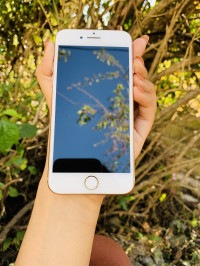 Rose Gold Apple iPhone 8