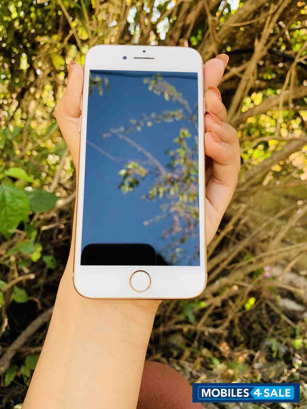 Rose Gold Apple iPhone 8