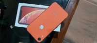 Apple  iPhone XR (Coral 64 GB)