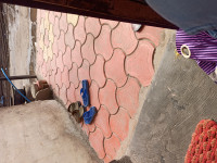 Xiaomi  Redmi note 8pro