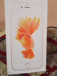 Rose Pink Apple iPhone 6S