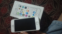 Apple iphone 5s
