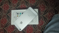 Apple  iphone 5s
