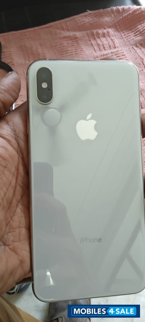 Silver Apple  Xs Max