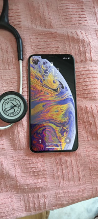 Silver Apple  Xs Max