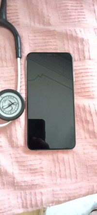 Silver Apple  Xs Max