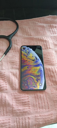 Silver Apple  Xs Max