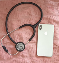 Silver Apple  Xs Max