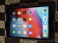 Apple  Ipad mini 3