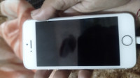 Apple  iphone 5s