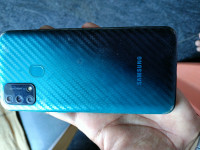 Samsung  F41