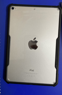 Apple  Ipad mini 5
