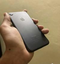 Apple  apple 7