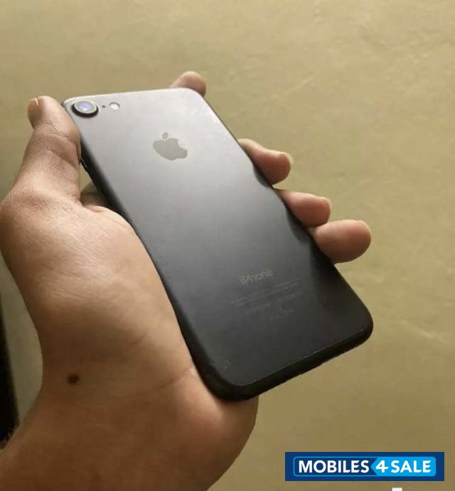 Apple  apple 7