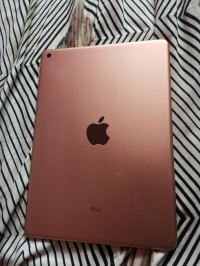 Apple  Ipad (6th generation
