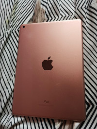 Apple Ipad (6th generation