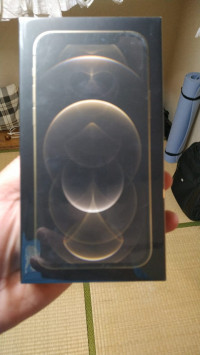 Apple  12 pro 128 gb