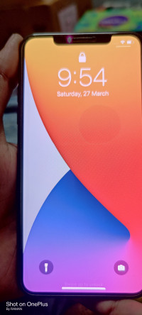 Apple  11pro max 256