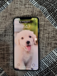 Apple  Iphone 11 Pro Max