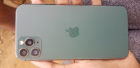 Apple  11pro