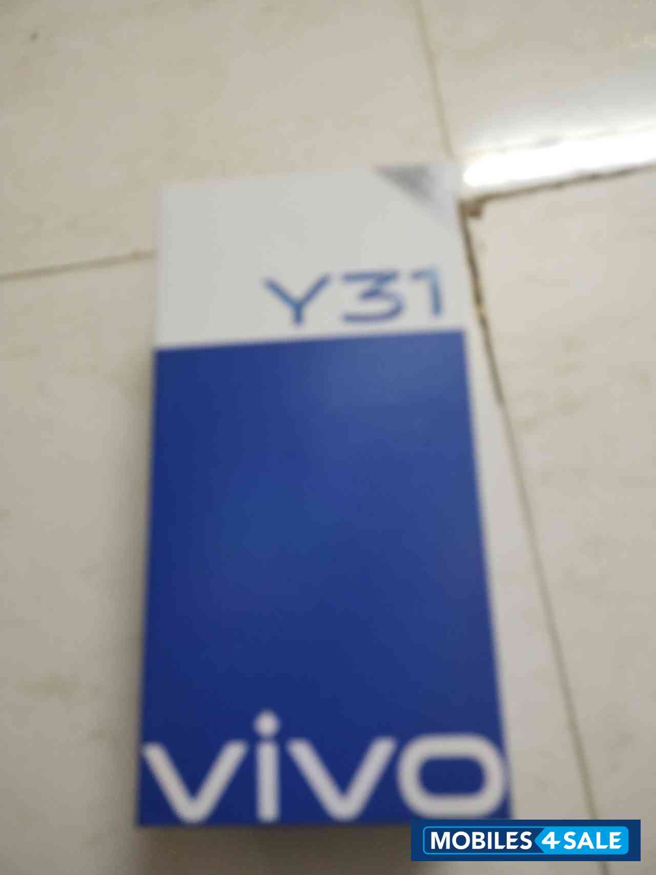 Viva  Y31