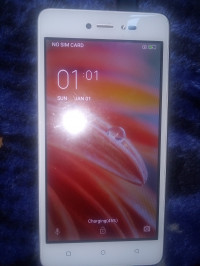 Lava  Z60