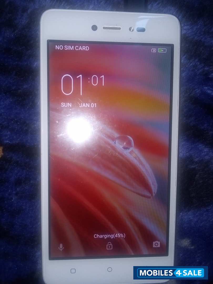 Lava  Z60